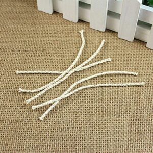 CSYANXING 10* Copper Wire Cotton Core Wick Thread Replacement in Dispenser Oil Lighters