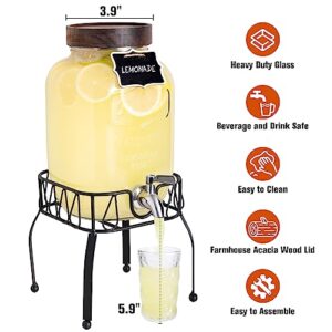 Mustry Glass Drink Dispenser for Parties, 1 Gallon Beverage Dispenser with Stand and Spigot Solid Stainless Steel, Used as Lemonade Dispenser Sun Tea Jar Kombucha Jar