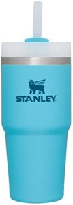 stanley quencher h2.0 flowstate stainless steel vacuum insulated tumbler with lid and straw for water, iced tea or coffee, smoothie and more, pool, 14 oz