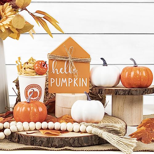 Fall Decor-Fall Decorations for Home-Pumpkin Spice Latte Cups-Artificial Pumpkins-Bead Garland and Wood Sign-Farmhouse Tiered Tray Items for Autumn Thanksgiving Harvest Decoration