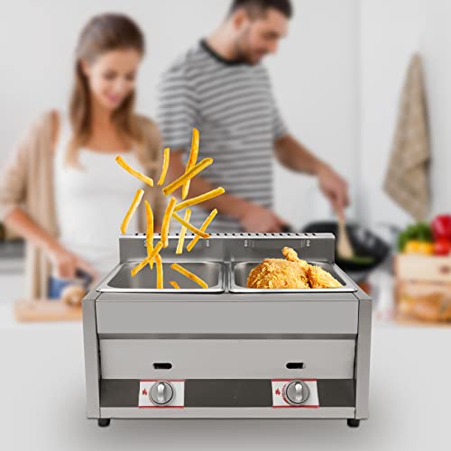 Cbhfmljd Commercial 2 Wells 6L Gas Fryer Food Warmer Steam Table Stainless Steel Electric Deep Fryer with 2 Baskets Capacity for Hotel Supermarket Cooking Restaurant and Home Use