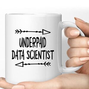 funny data scientist present for data scientist underpaid data scientist 11 oz ceramic coffee mug
