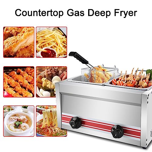 Large Capacity Countertop LPG/Gas Fryer, Commercial Stainless Steel Gas Fryer, for French Fries Turkey Donuts Home Kitchen Restaurant (Size : 10L)
