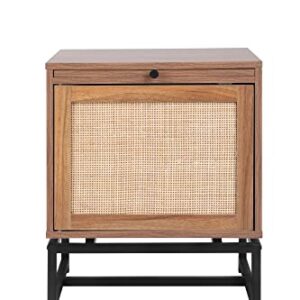 SeokIljin Natural Rattan Door Nightstand,with 1 Rattan Door Drawer,Rustic Bedside Table Cabinet Accent Table with Sturdy Metal Leg for Living Room,Bedroom