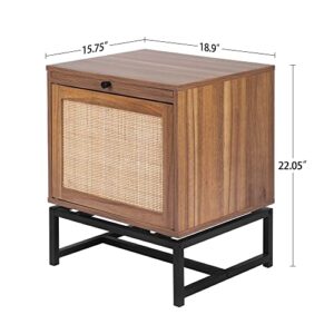 SeokIljin Natural Rattan Door Nightstand,with 1 Rattan Door Drawer,Rustic Bedside Table Cabinet Accent Table with Sturdy Metal Leg for Living Room,Bedroom