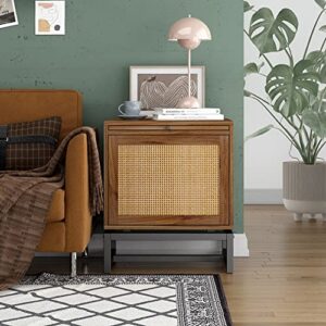 SeokIljin Natural Rattan Door Nightstand,with 1 Rattan Door Drawer,Rustic Bedside Table Cabinet Accent Table with Sturdy Metal Leg for Living Room,Bedroom