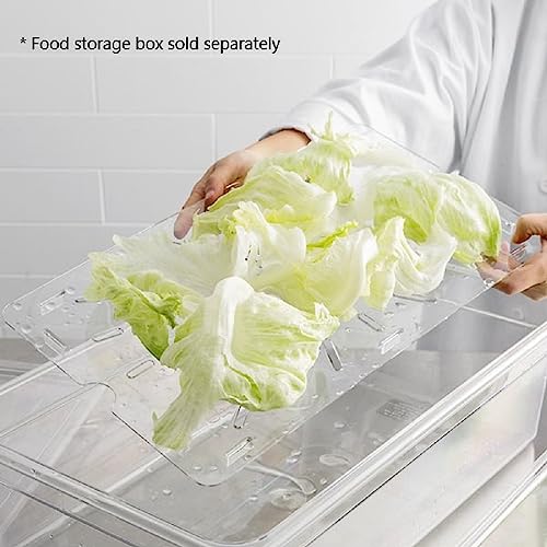 TrueCraftware 12" x 18" Polycarbonate Food Storage Box Drain Shelf Clear Color- Food Storage Box Drain Shelf for Restaurant Kitchen and Cafeteria