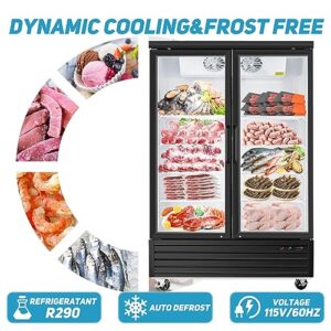 BLUELINETECH Commercial Display Freezer 35 Cu.ft, Double Swing Glass Door Reach in Fridge with 8 Shelves LED Lightning, 56.4" W, -8℉-0℉