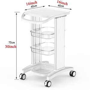 RDBSMGX ABS Beauty Trolley 3-Layer Adjustable Height Storage Shelf Rolling Trolley Placing Instruments + Storage Function Double Aluminium Alloy Pillars 0.8cm High Non-Slip Fence