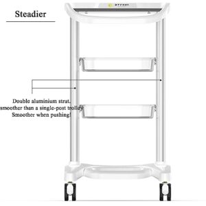 RDBSMGX ABS Beauty Trolley 3-Layer Adjustable Height Storage Shelf Rolling Trolley Placing Instruments + Storage Function Double Aluminium Alloy Pillars 0.8cm High Non-Slip Fence