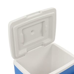 Fresh Keeping Box, 13.8L Widen Handle 76 Hours Refrigerate Insulation Box Thickened Material for Traveling