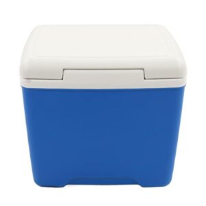 Fresh Keeping Box, 13.8L Widen Handle 76 Hours Refrigerate Insulation Box Thickened Material for Traveling