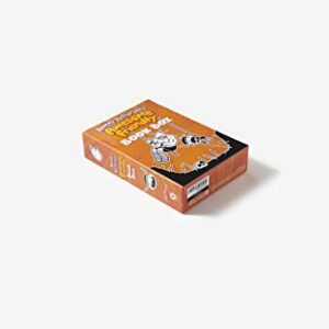 Diary of a Wimpy Kid: Awesome Friendly Box