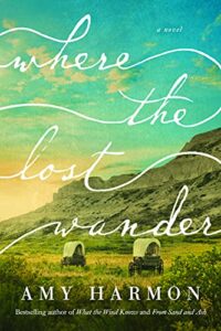 where the lost wander: a novel