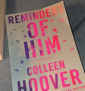 Reminders of Him: A Novel