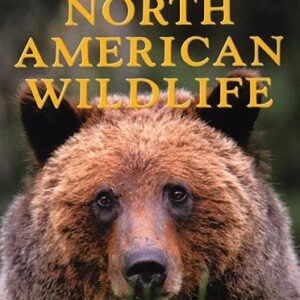 North American Wildlife