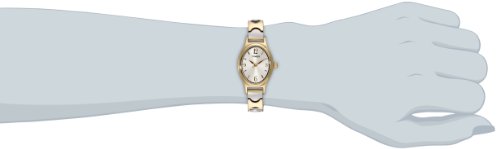 Timex Women's T26301 Kendall Circle Two-Tone Stainless Steel Expansion Band Watch