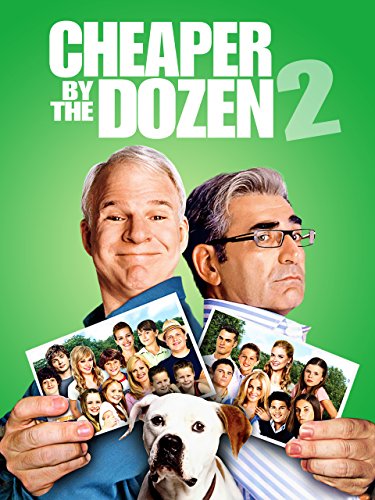 Cheaper By The Dozen 2