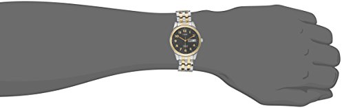 Timex Men's T26481 Charles Street Two-Tone Expansion Band Watch (Two Tone/Black)