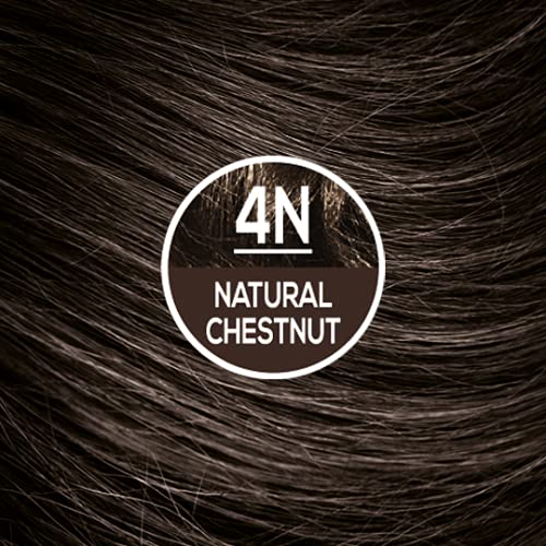 Naturtint Permanent Hair Color 4N Natural Chestnut (Pack of 1), Ammonia Free, Vegan, Cruelty Free, up to 100% Gray Coverage, Long Lasting Results