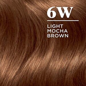 Clairol Nice'n Easy Permanent Hair Dye, 6W Light Mocha Brown Hair Color, Pack of 1