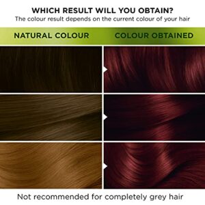 Garnier Nutrisse Ultra Color 2.6 Dark Cherry Red Permanent Hair Color