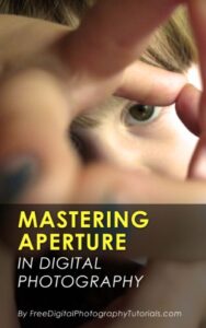 mastering camera aperture: digital photography tips and tricks for beginners on how to control depth of field