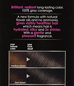 Garnier Olia Ammonia Free Permanent Hair Color, 100% Gray Coverage (Packaging May Vary), 3.0 Darkest Brown Hair Dye, Pack of 1