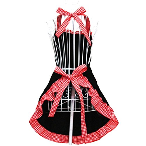 Hyzrz Women's Apron with Pockets, Black and Red