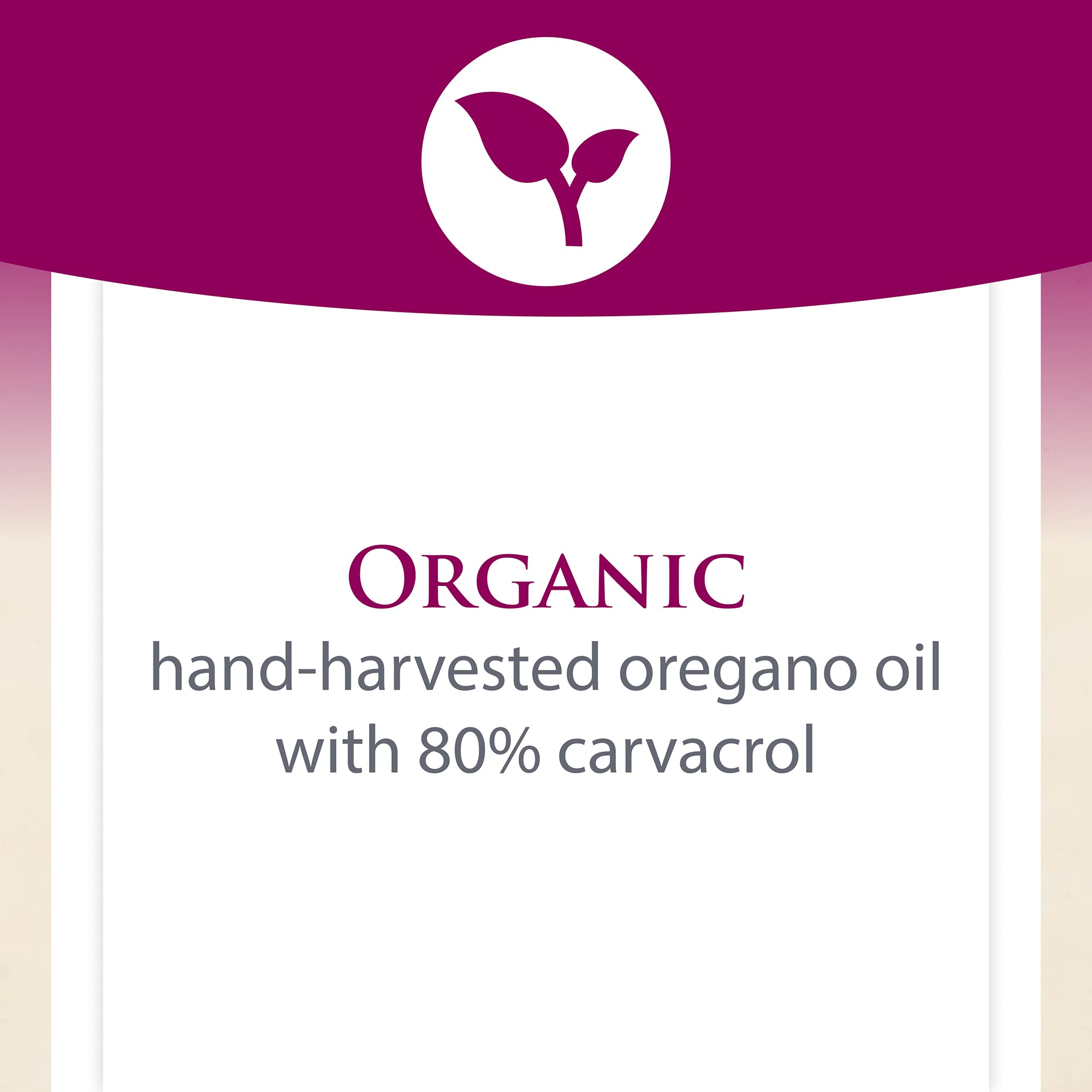 Natural Factors, Oil of Oregano 180 mg, Helps Maintain Good Health with Extra Virgin Olive Oil, 30 softgels (30 servings)