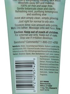 Basis Cleaner Clean Face Wash, 6 Ounce (Pack of 3)