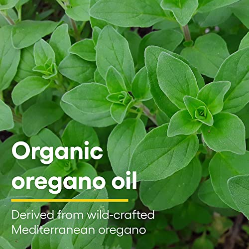 Natural Factors, Certified Organic Oil of Oregano, Herbal Supplement for Immune Support, Vegan, Non-GMO, 2 Oz