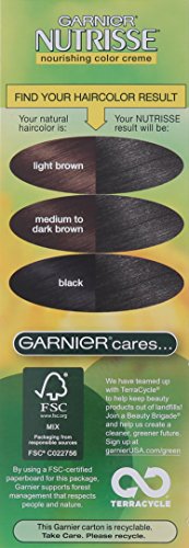 Garnier Nutrisse Nourishing Color Creme, 31 Darkest Ash Brown