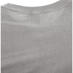 Hanes mens Nano Premium Cotton T-shirt (Pack of 2) fashion t shirts, Light Steel, Large US