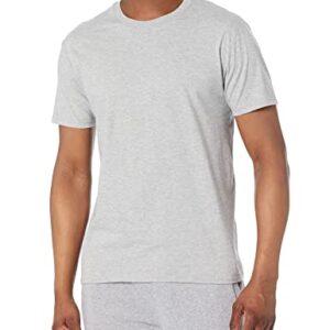 Hanes mens Nano Premium Cotton T-shirt (Pack of 2) fashion t shirts, Light Steel, Large US