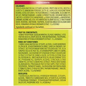 Garnier Nutrisse Nourishing Hair Color Creme, 66 True Red (Pomegranate) (Packaging May Vary)