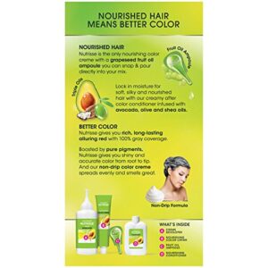 Garnier Nutrisse Nourishing Hair Color Creme, 66 True Red (Pomegranate) (Packaging May Vary)