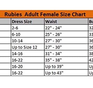 Rubie's womens Supergirl Tv Show Dress Adult Sized Costumes, As Shown, Small US