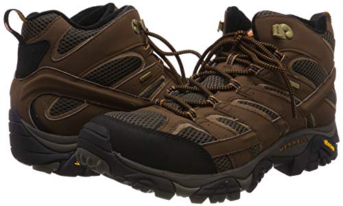 Merrell Men's Moab 2 Mid Gtx Hiking Boot, Earth, 11 M US