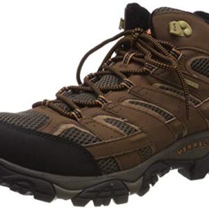 Merrell Men's Moab 2 Mid Gtx Hiking Boot, Earth, 11 M US