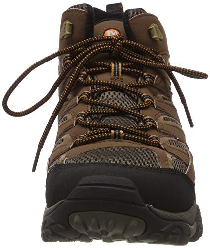 Merrell Men's Moab 2 Mid Gtx Hiking Boot, Earth, 11 M US