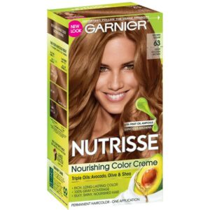 garnier nutrisse nourishing color creme [63] light golden brown 1 ea (pack of 4)