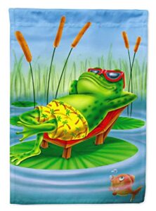 caroline's treasures aph0521chf frog chilaxin on the lilly pad house flag large porch sleeve pole decorative outside yard banner artwork wall hanging, polyester, house size, multicolor