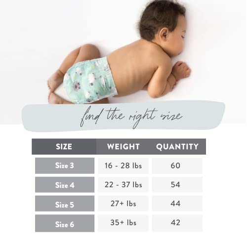 The Honest Company Clean Conscious Overnight Diapers | Plant-Based, Sustainable | Sleepy Sheep | Club Box, Size 5 (27+ lbs), 44 Count