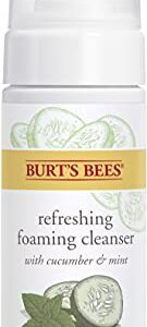 Burt's Bees Refreshing Foaming Cleanser and Natural Face Wash with Cucumber and Mint, 4.8 Fl Oz