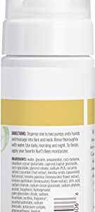 Burt's Bees Refreshing Foaming Cleanser and Natural Face Wash with Cucumber and Mint, 4.8 Fl Oz