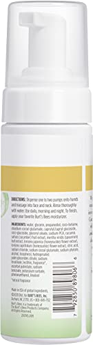 Burt's Bees Refreshing Foaming Cleanser and Natural Face Wash with Cucumber and Mint, 4.8 Fl Oz