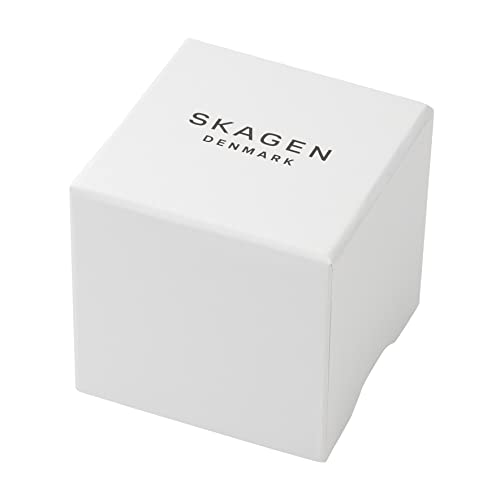 Skagen Men's Jorn Quartz Analog Stainless Steel and Mesh Watch, Color: Black (Model: SKW6422)