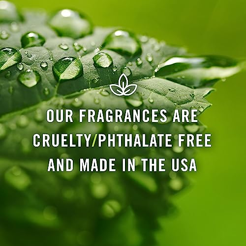 P&J Fragrance Oil | Oregano Oil 30ml - Candle Scents for Candle Making, Freshie Scents, Soap Making Supplies, Diffuser Oil Scents