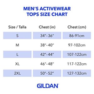 Gildan Adult Ultra Cotton T-Shirt, Style G2000, Multipack, Black (2-Pack), Large